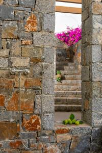 uma casa de banho com um chuveiro numa parede de pedra em Pakio Luxury Villa : Private Cretan Holidays em Milatos