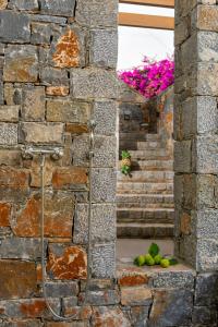 Fotografia z galérie ubytovania Pakio Luxury Villa : Private Cretan Holidays v destinácii Milatos