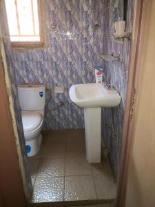 La petite salle de bains est pourvue de toilettes et d'un lavabo. dans l'établissement Résidence Les Fleurettes, à Bamako