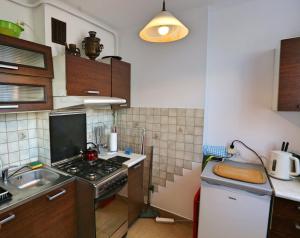 Il comprend une petite cuisine équipée d'une cuisinière et d'un évier. dans l'établissement apartament DaDa, à Sosnowiec