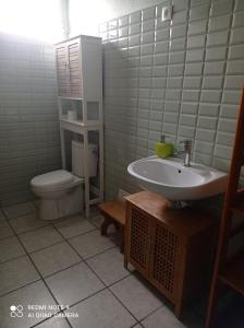 ein Bad mit einem Waschbecken und einem WC in der Unterkunft La Marie-Galantaise dans la nature in Beaurenom