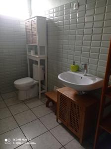 a bathroom with a sink and a toilet at La Marie-Galantaise dans la nature in Beaurenom +6 photos