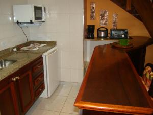 eine kleine Küche mit einer Spüle und einer Arbeitsplatte in der Unterkunft APARTAMENTO DUPLEX - ALTO DO CAPIVARI in Campos do Jordão