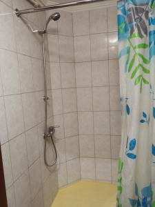ゴルノ・アルタイスクにあるProspect Kommunisticheskiy Houseのバスルーム(シャワー、シャワーカーテン付)が備わります。