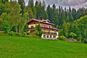 una casa grande en una colina en un campo en Austrian Alps - Haus Kienreich, en Altenmarkt im Pongau