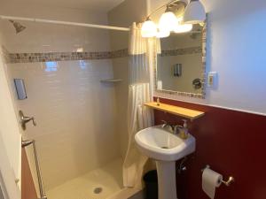 a bathroom with a sink and a shower with a mirror at Bromley View Inn in Bondville