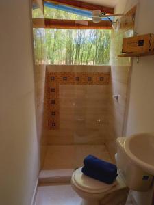 e bagno con doccia, servizi igienici e lavandino. di Casa Passaro a Calarcá