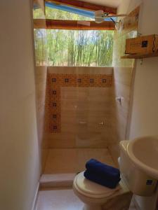 a bathroom with a shower with a toilet and a sink at Casa Passaro in Calarcá