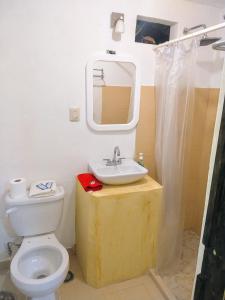 uma casa de banho com um lavatório e um WC em Posada "Jardin Huasteca Xilitla" em Xilitla