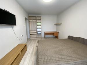 チタにあるApartamienty na Babushkina 99のベッドルーム(ベッド1台、薄型テレビ付)