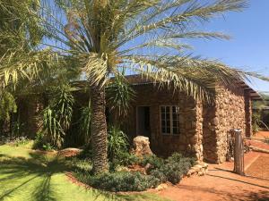 a building with a palm tree in front of it at Aranos Kalahariland Guest Farm in Aranos