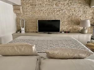 a living room with a tv and a couch at Le Lion des Ducs : centre historique de Dijon in Dijon