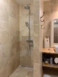 a bathroom with a shower and a sink at STUDIO EN VILLE ET CAMPAGNE in Louhans
