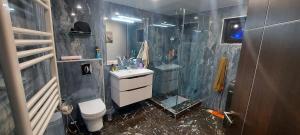 Un baño con lavabo, inodoro y ducha. en Linda, en Tiflis 33 fotos más