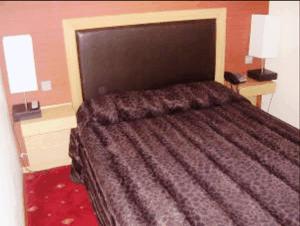 ein Hotelzimmer mit einem großen Bett in einem Zimmer in der Unterkunft Aegli Hotel in Grevena
