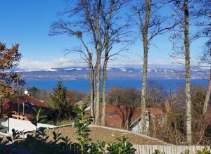 a view of the water from a house with trees at Le chalet du Leman - Vue lac - Yvoire in Yvoire