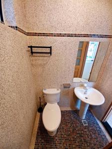 a bathroom with a toilet and a sink at Kenting Ocean World Diving II in Hengchun South Gate