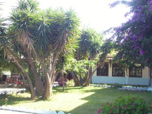 Zahrada ubytování Hotel Elytis