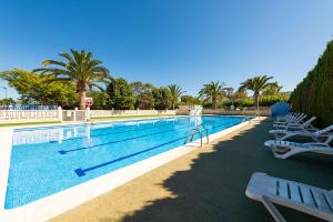 una gran piscina con sillas blancas y palmeras en Bungalows Camping el Cid en Peñíscola