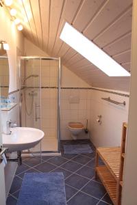 een badkamer met een douche, een wastafel en een toilet bij Ferienhaus Wankner in Tittmoning