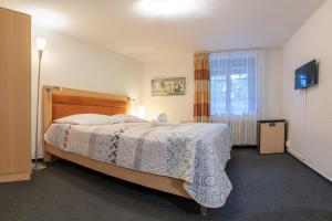 a bedroom with a large bed and a window at Penzion Sykovec in Tři Studně