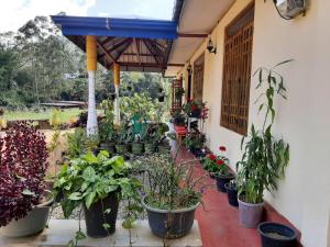 Zahrada ubytování Vegetable Garden House