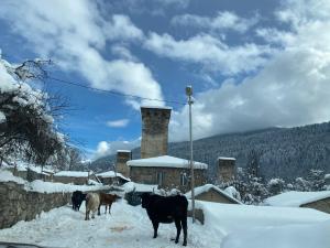 IURI udesiani's GUESTHOUSE tokom zime