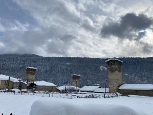 IURI udesiani's GUESTHOUSE tokom zime