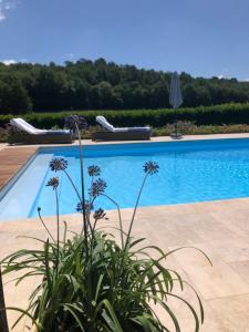 a swimming pool in a villa with blue water at La Libertie in Campsegret