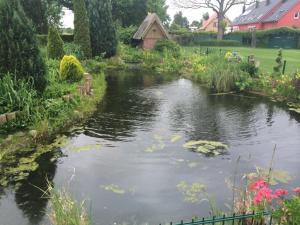 a pond in a garden with flowers and a house at Ferienwohnung Mittelbach - Whg im OG in Dierhagen