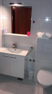 Kúpeľňa v ubytovaní Apartmani Mila Brela