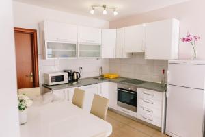 Kuchyňa alebo kuchynka v ubytovaní Apartmani Mila Brela
