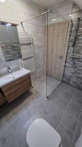 Koupelna v ubytování APARTMA KAAN + 26 fotografií