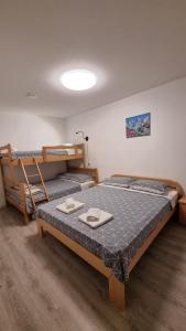 Postel nebo postele na pokoji v ubytování APARTMA KAAN