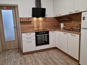 Kuchyň nebo kuchyňský kout v ubytování APARTMA KAAN