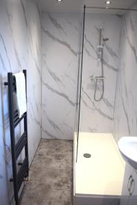 uma casa de banho com um chuveiro e um lavatório. em Kelpies Serviced Apartments - McClean em Falkirk