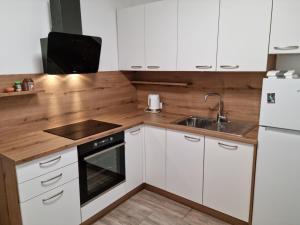 Kuchyň nebo kuchyňský kout v ubytování APARTMA KAAN