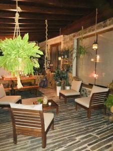 una sala de estar con sillas, mesas y plantas. en Casa Relogio de Sol, en Lamego