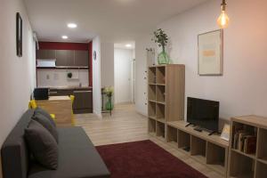 a living room with a couch and a tv and a kitchen at Manzaneda Natura Apartaments T1 vista montaña in Prada