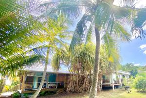 Giardino di Villa Gaïa - Bungalow Ti-Spa et son jacuzzi privé dans un jardin tropical, séjour en amoureux ou en famille