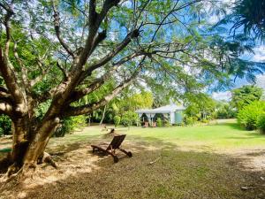 Giardino di Villa Gaïa - Bungalow Ti-Spa et son jacuzzi privé dans un jardin tropical, séjour en amoureux ou en famille