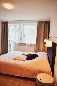 - une chambre avec un grand lit et une fenêtre dans l'établissement Central Park Apartment Birštonas, à Birštonas