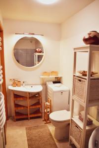 ein Badezimmer mit einem Waschbecken, einem WC und einem Spiegel in der Unterkunft Central Park Apartment Birštonas in Birštonas