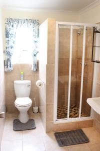 a bathroom with a shower and a toilet and a sink at The Goose Nest in Struisbaai