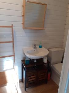 W łazience znajduje się umywalka, toaleta i lustro. w obiekcie Gite Le bout du monde w mieście Baume-les-Messieurs