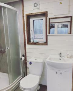 ein Bad mit einem WC und einem Waschbecken in der Unterkunft Riešutynė in Gražuliai