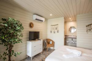 a bedroom with a bed and a tv and a desk at Blue Sail Hotel in Anse Marcel 