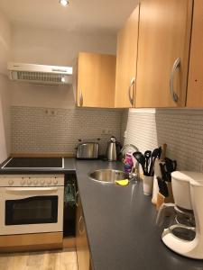 a kitchen with a sink and a stove top oven at Range Erholungs FEWO in Cottbus