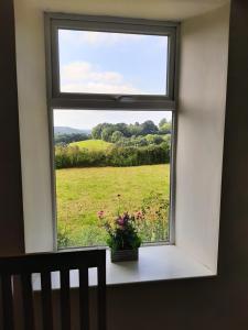 une fenêtre avec une plante en pot assise sur un rebord de fenêtre dans l'établissement Quintessential, secluded South Devon cottage, à Plymouth