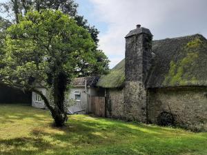une ancienne maison en pierre avec un toit recouvert de mousse et un arbre dans l'établissement Quintessential, secluded South Devon cottage, à Plymouth